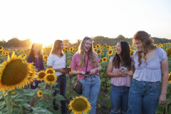 Fixed_sunflowers_SA-1