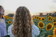 Fixed_sunflowers_SA-11