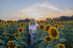 Fixed_sunflowers_SA-15