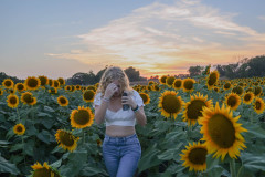 Fixed_sunflowers_SA-16