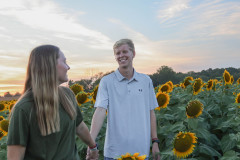 Fixed_sunflowers_SA-21