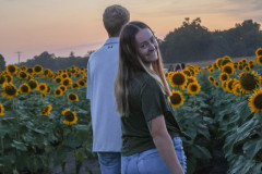 Fixed_sunflowers_SA-29