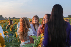 Fixed_sunflowers_SA-3