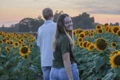 Fixed_sunflowers_SA-31