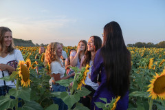 Fixed_sunflowers_SA-4