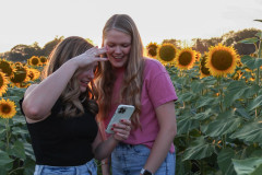 Fixed_sunflowers_SA-5