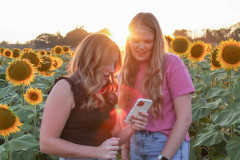 Fixed_sunflowers_SA-6