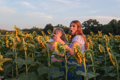 Fixed_sunflowers_SA-8