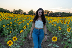 20240909_Sunflowers_SDA-31