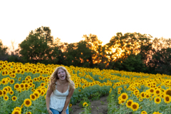 20240909_Sunflowers_SDA-4