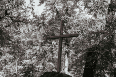 SDA_6449-2