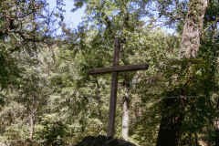 SDA_6449