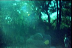 img20251016_14404229