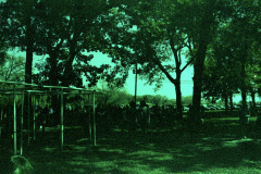 img20251016_15504761