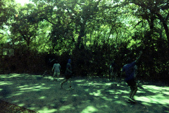 img20251016_16172384