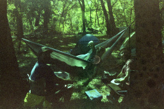 img20251016_16191411