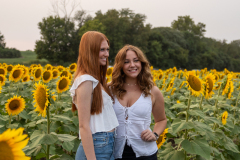 20250905_Sunflowers_SDA-0740