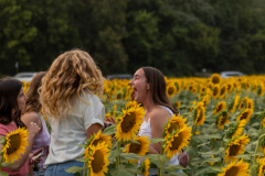 20250905_Sunflowers_SDA-0745