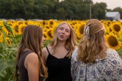 20250905_Sunflowers_SDA-0753