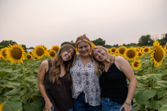 20250905_Sunflowers_SDA-0770