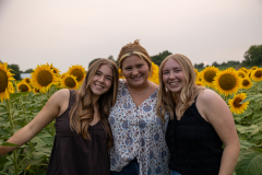 20250905_Sunflowers_SDA-0773