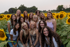 20250905_Sunflowers_SDA-0783