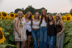 20250905_Sunflowers_SDA-0804