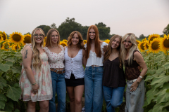 20250905_Sunflowers_SDA-0809