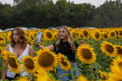 20250905_Sunflowers_SDA-0830