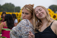 20250905_Sunflowers_SDA-0850