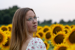 20250905_Sunflowers_SDA-0859