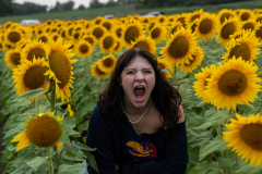 20250905_Sunflowers_SDA-0882