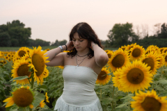 20250905_Sunflowers_SDA-0886