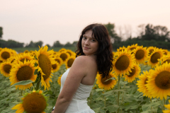 20250905_Sunflowers_SDA-0890