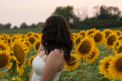 20250905_Sunflowers_SDA-0896