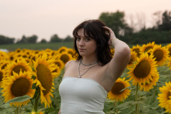 20250905_Sunflowers_SDA-0904