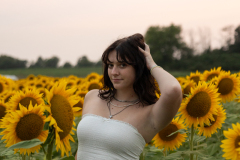 20250905_Sunflowers_SDA-0912