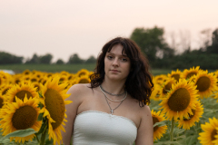 20250905_Sunflowers_SDA-0918