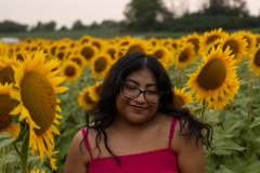 20250905_Sunflowers_SDA-0957