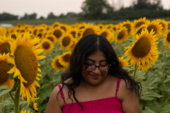 20250905_Sunflowers_SDA-0959