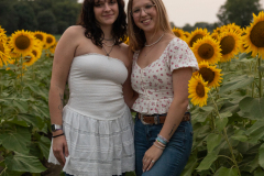 20250905_Sunflowers_SDA-0999