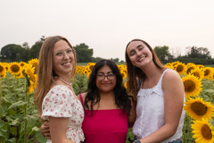 20250905_Sunflowers_SDA-1002