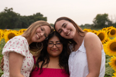 20250905_Sunflowers_SDA-1011