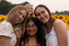 20250905_Sunflowers_SDA-1014